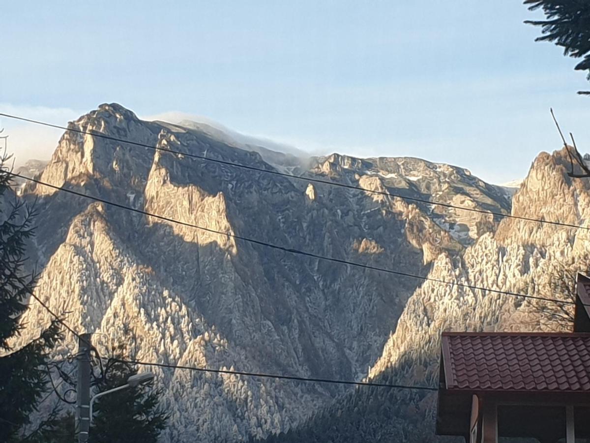 Mountain Break Azuga Ski Ngoại thất bức ảnh